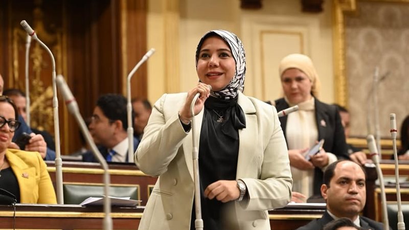 عضو تنسيقية الاحزاب