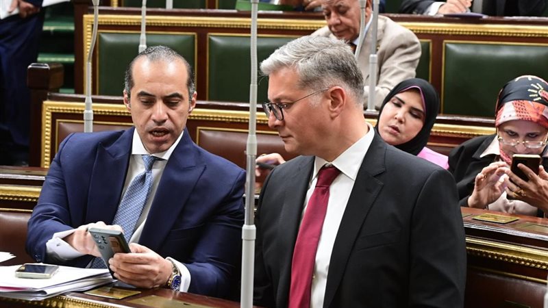 وزير الشئون النيابية