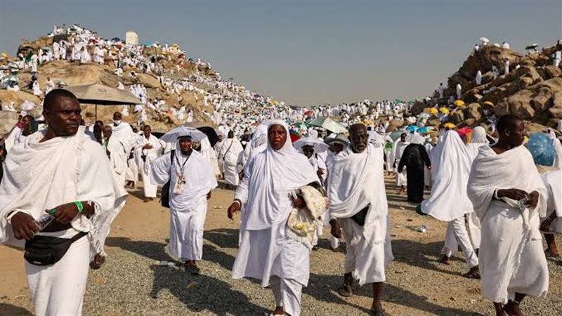 ارشيفية