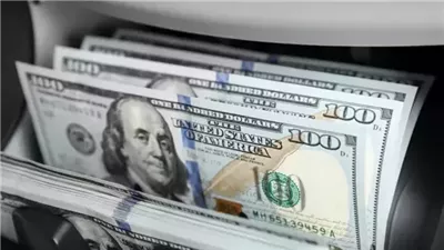 قرار قضائي جديد بشأن محاكمة 7 متهمين بخلية تهريب العملة الأجنبية 