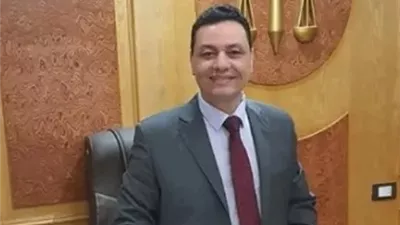محامي أسرة طفل دمنهور لـ