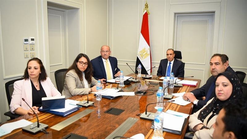وزير الخارجية بدر عبد العاطي 