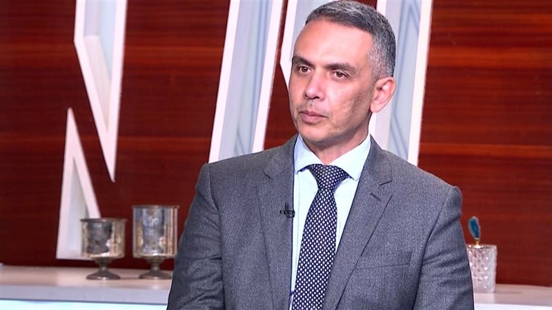 هاني جنينة الخبير الاقتصادي