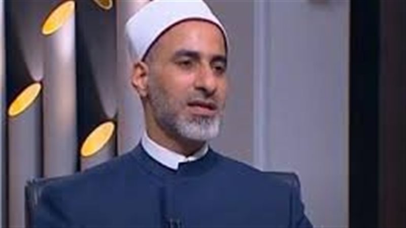 الدكتور سيد عبد الباري