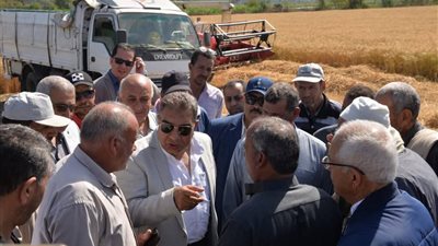 محافظ الدقهلية: نحتل المركز الثالث على مستوى الجمهورية في إنتاج القمح