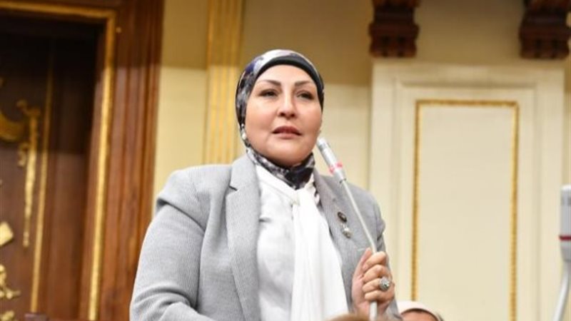  النائبة هالة أبو السعد