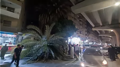 سقوط نخلة بشارع المطبعة في فيصل يسبب زحاما مروريا
