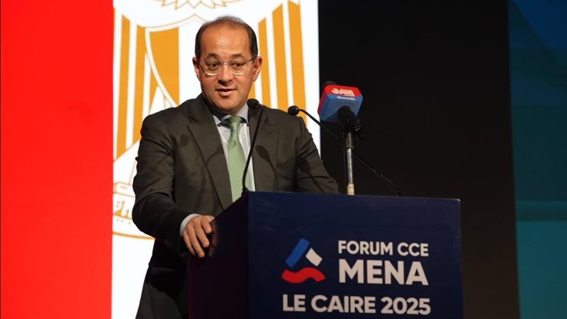 أحمد كجوك وزير المالية