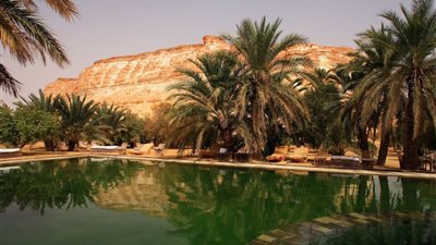 واحات مصر المنسية.. سياحة بديلة تعيد اكتشاف الصحراء والتاريخ 