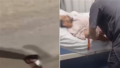 كارثة في أكتوبر.. سيدة تضع سما للكلاب تتسبب في إصابة شخصين