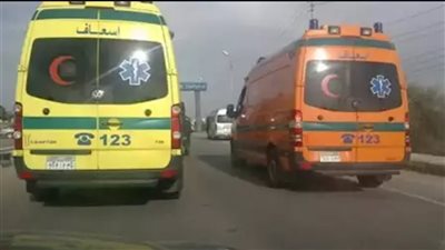 إصابة 7 أشخاص في حادث تصادم بين ميكروباص وملاكي بطريق زفتي – السنطة بالغربية
