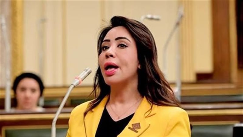 النائبة غادة علي