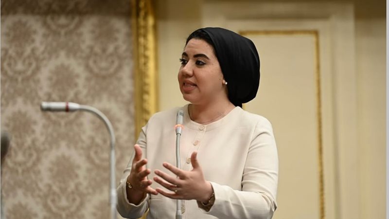 النائبة أميرة صابر