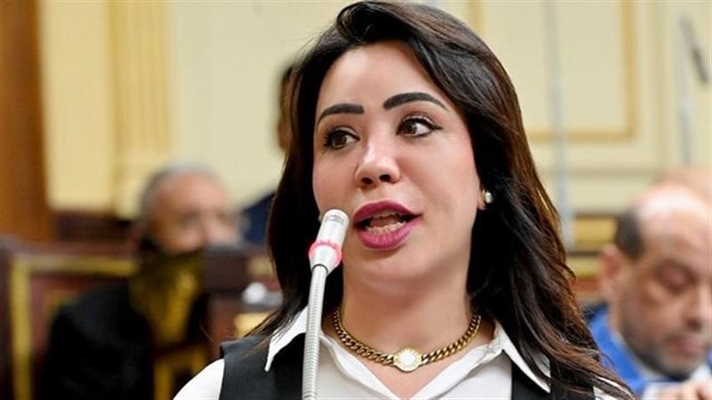 النائبة غادة على 