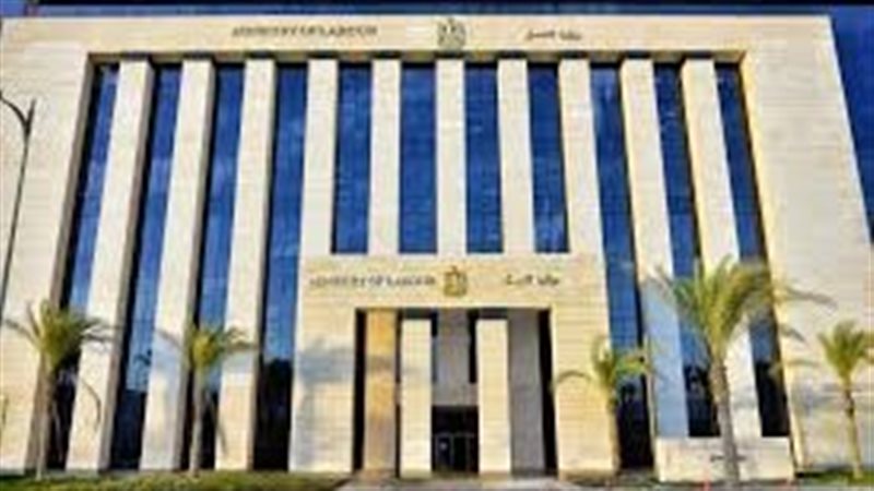 وزارة العمل 