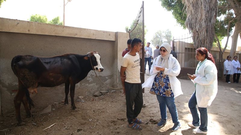 أثناء عمل القافلة البيطرية بالفيوم
