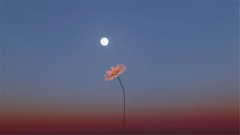 قمر الزهور