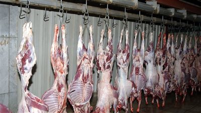 الكندوز بـ405 جنيهات.. أسعار اللحوم اليوم الخميس 29 مايو 2025