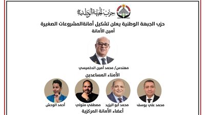 “الجبهة الوطنية” يعلن تشكيل أمانة المشروعات الصغيرة برئاسة الدخميسي
