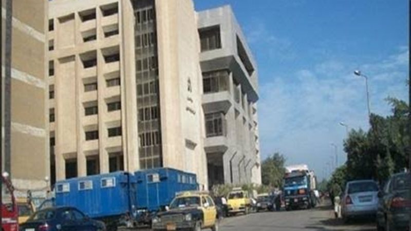 جنايات المحلة