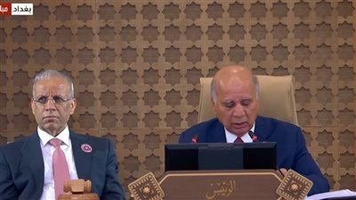 وزير الخارجية العراقي يؤكد دعم بغداد لخطة مصر بشأن إعادة إعمار غزة