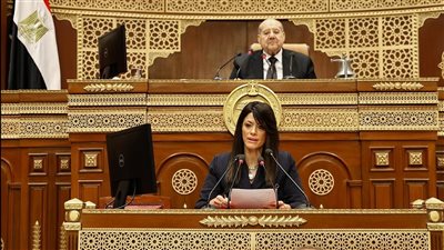 وزيرة التخطيط: خطة 25/2026 تلتزم بسقف استثمارات قدره 1.16 تريليون جنيه