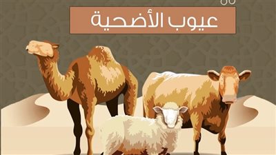 ما شروط صحة الأضحية؟ مركز الأزهر للفتوى الإلكترونية يوضح