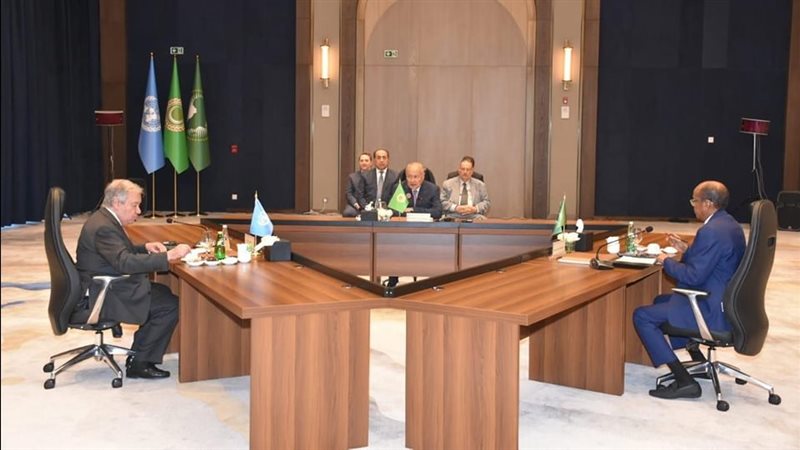 جامعة الدول والاتحاد الإفريقي والأمم المتحدة