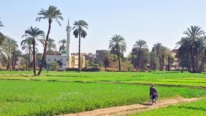 القرى المنتجة 