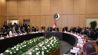 الحكومة تبحث فرص تطوير صناعة الطلمبات في مصر