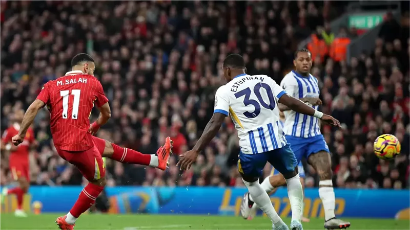 ليفربول وبرايتون