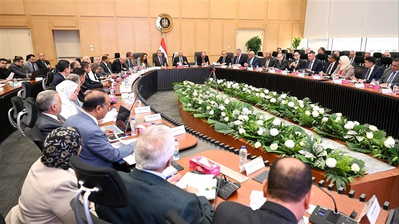 المجموعة الوزارية للتنمية الصناعية
