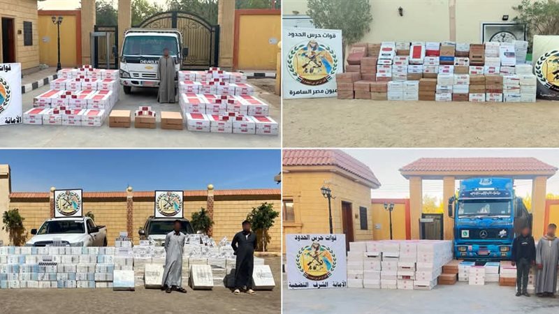 نشاط مكثف لقوات حرس الحدود على جميع الاتجاهات الإستراتيجية