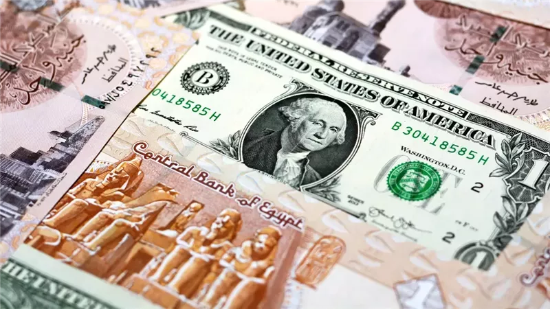 الدولار مقابل الجنيه المصري 