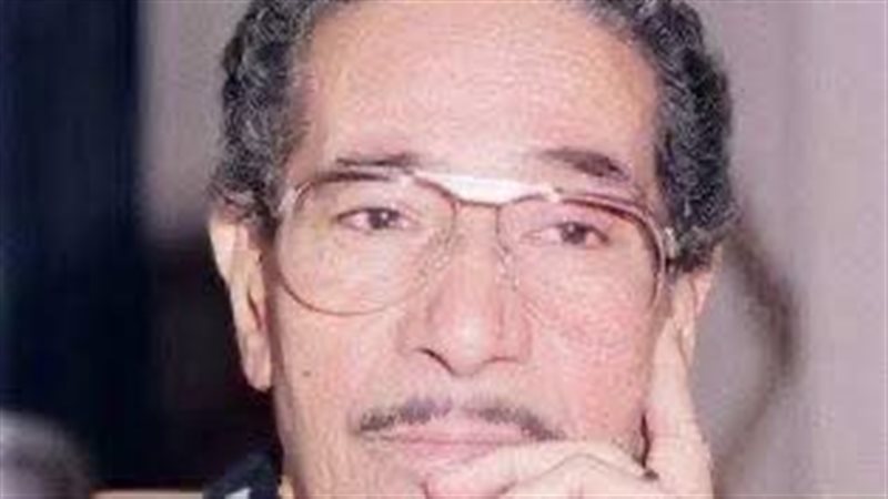 محمد الموجي 