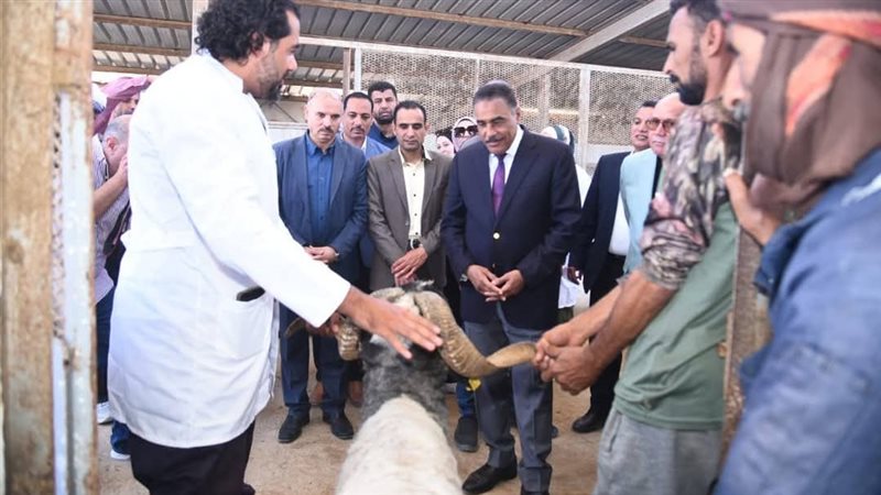 محافظ مطروح