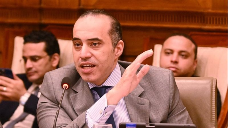 المستشار محمود فوزي 