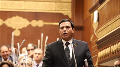 وكيل دفاع الشيوخ: قانون انتخابات مجلس الشيوخ يرسخ لمبادئ الجمهورية الجديدة