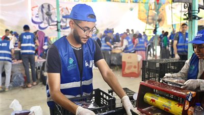 «صناع الحياة» تستعد لذبح وتوزيع لحوم الأضاحي على نصف مليون مستفيد