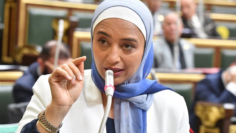 النائبة أميرة أبو شقة