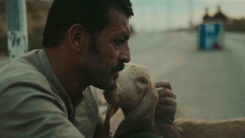 فيلم قهر