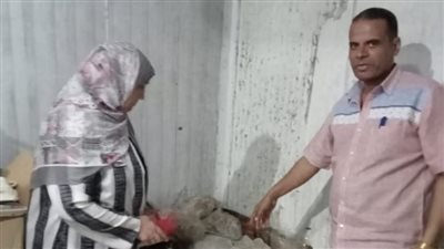 ضبط 25 طن من مصنعات اللحوم والدواجن غير صالحة للاستهلاك الأدمي بالجيزة