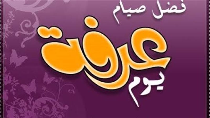 ارشيفية