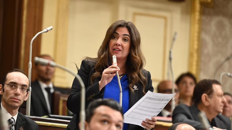 النائبة  أميرة العادلي