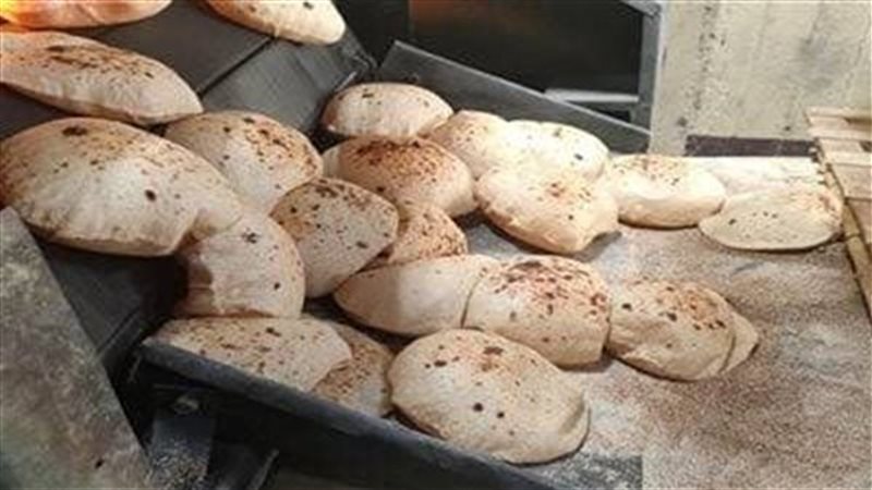 ارشيفية