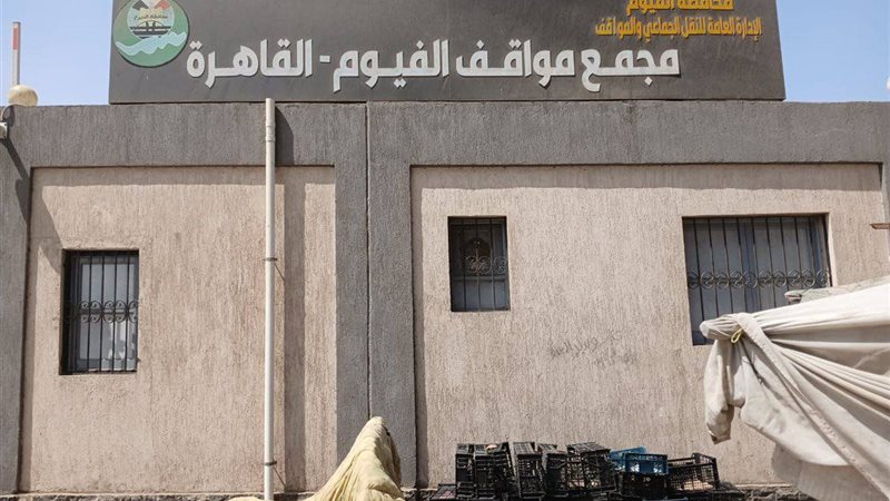 موقف مصر الجديد