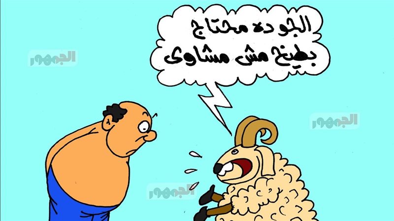 كاريكاتير موقع الجمهور