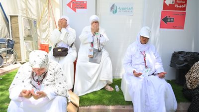  تفويج الحجاج المصريين إلى الروضة الشريفة وسط تنظيم دقيق وأجواء روحانية