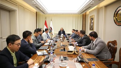 وزير قطاع الأعمال يلتقي وفدا من شركة كورية لبحث التعاون في الغزل والنسيج