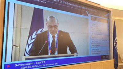 باكتساح.. وزير العمل يهنئ فلسطين بعد اعتمادها دولة مراقب بمنظمة العمل الدولية
